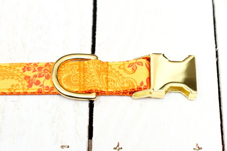 May include: A yellow and orange dog collar with a paisley pattern and a gold metal buckle.