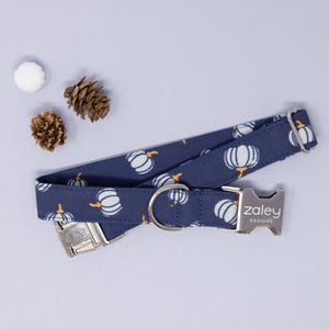 May include: A blue dog collar with a white pumpkin pattern and silver hardware. The collar has the text "Zaley Designs" on the buckle.