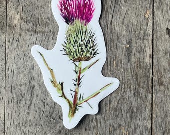 Hand Painted Thistle Vinyl Sticker