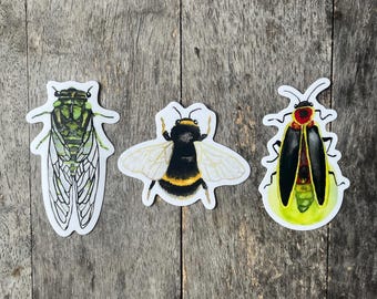 Set of Three Hand Painted Insects Vinyl Stickers