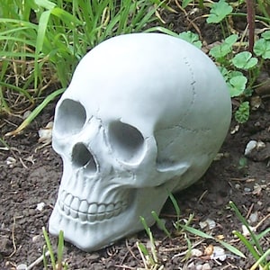 Human Skull Concrete Statue 5.5&quot; tall. Garden Yard Decoration, Home Haunt