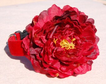 Modern dog collar.Red dog collar!gift for dog ,big wine flower dog collar,handmade dog collar,Afternoon tea dog collar.wedding dog collar
