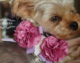 Yorkshire !Beautiful Lavender dog collar,wedding dog collar.Birthday Party dog collar.purple dog collar.puppy collar handmade dog collar