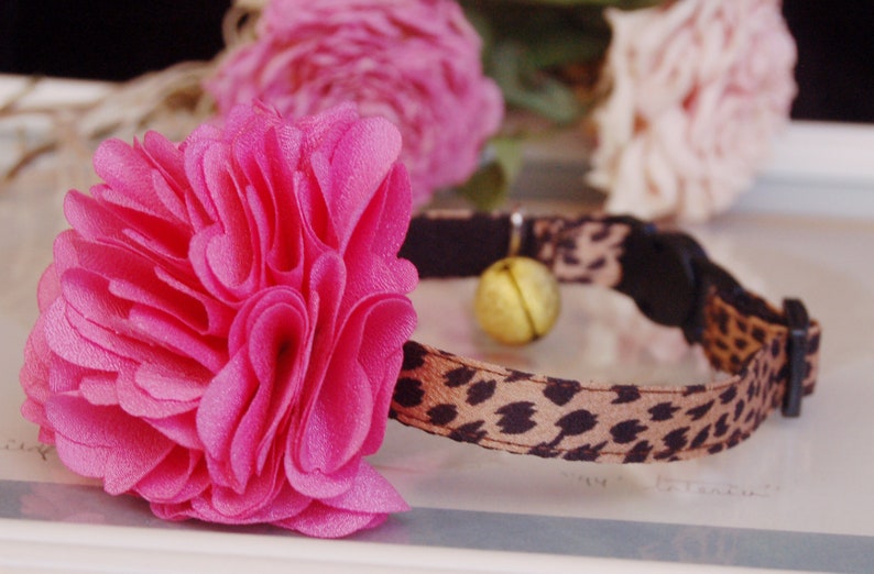 May include: A pink flower-shaped cat collar with a leopard print band and a gold bell.