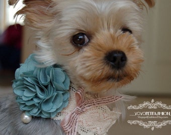 Vintage Blue flower collar for your lovely dog,Cute Yorkshire Terrier collar.wedding dog collar,cute dog collar.Birthday gift for dog
