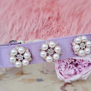Modern lilac wedding dog collar!Perfect gift for dog,light purple velvet with pearl flowers dog collar.pet Wedding collar.dog wedding collar