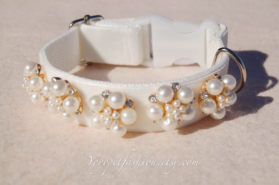 Modern Ivory white wedding dog collar!Perfect gift for dog,panne velvet with pearl flowers dog collar. Wedding dog collar.dog wedding collar