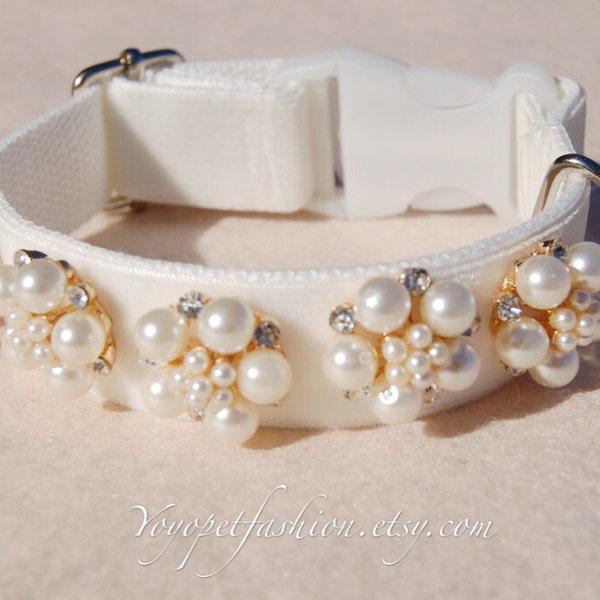 Modern Ivory white wedding dog collar!Perfect gift for dog,panne velvet with pearl flowers dog collar. Wedding dog collar.dog wedding collar