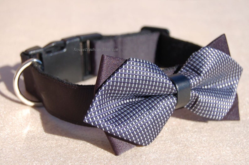 May include: A black dog collar with a silver buckle and a gray and black bow tie.