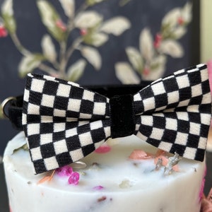 Cute Bow tie cat collar,wedding small dog collar.party tiny dog collar. dog wedding collar.Modern pet collar, Birthday gift for dog