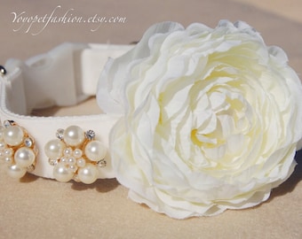 Modern panne velvet  dog collar,wedding dog collar.party dog collar.Ivory white flower with pearl flowers dog collar, Pet Birthday gift