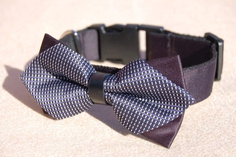 May include: A black dog collar with a black and white patterned bow tie.