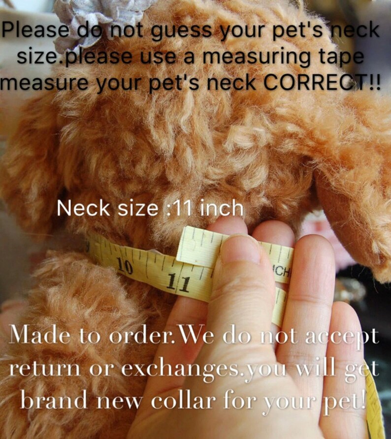 May include: A close-up of a brown and white dog wearing a measuring tape around its neck. The tape reads "11 inch". The text "Neck size :11 inch" is visible below the tape. The text "Please do not guess your pet's neck size. Please use a measuring tape measure your pet's neck CORRECT!!" is visible at the top of the image. The text "Made to order. We do not accept return or exchanges. You will get brand new collar for your pet!" is visible at the bottom of the image.