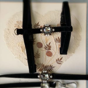 Hqndmade Cat harness and leash.black velvet Teacup dog Harness. tiny dog harness and leash.puppy harness and leash.cat gift.cat harness