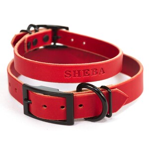 Personalisiertes Hundehalsband aus rotem Leder, schwarze Metallteile, geprägter Name