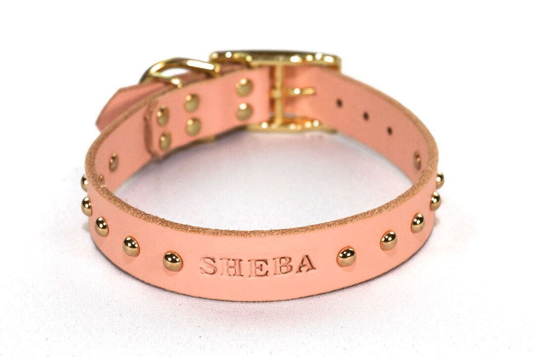 Studded Personalized Blush Pink Leather Dog Collar With Brass Etsy