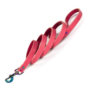 Handmade Pink Leather Dog Leash Rainbow Metal Hardware