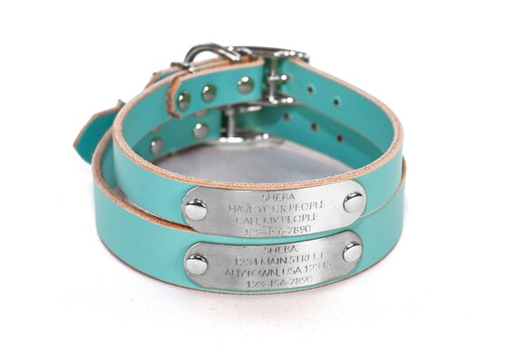 dog collar tiffany blue