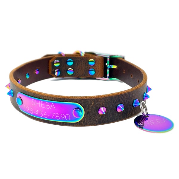 Spiked Dog Collar Etsy