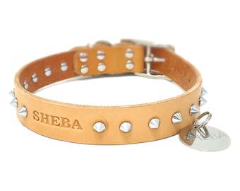 May include: Tan leather dog collar with silver studs and a silver tag that says "SHEBA".
