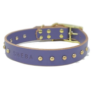 Studded Personalized Periwinkle Leather Dog Collar: Brass/Gold Studs