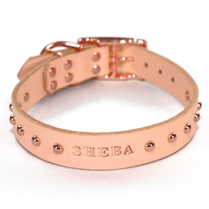 May include: A light pink leather dog collar with rose gold studs and a rose gold buckle. The collar is engraved with the name "SHEBA".