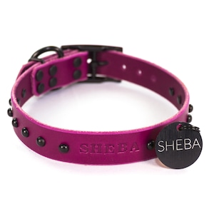 Personalized Studded Magenta Purple Leather Dog Collar, Matte Black Metal Dome Rivets, Matching Hanging Tag Dog Tag, Embossed Name