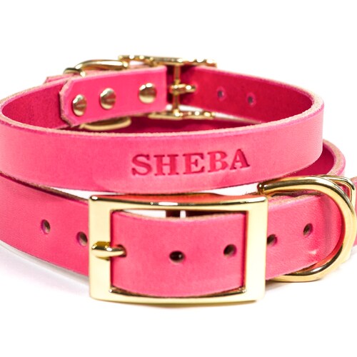 Personalized Emerald Green Leather Dog Collar Brass / Gold Etsy