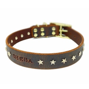 Personalized Star Studded Distressed Brown Leather Dog Collar, Brass / Gold Tone Buckle, Engraved Name