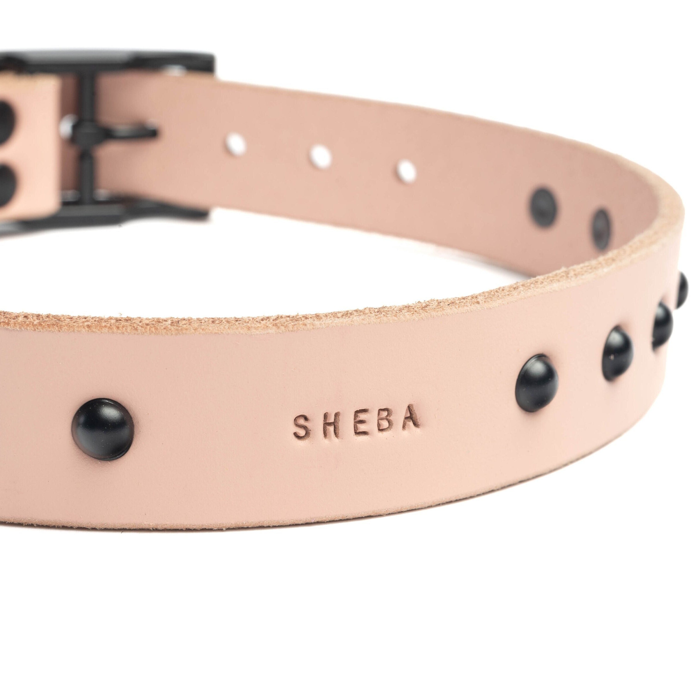Blush dog collar online