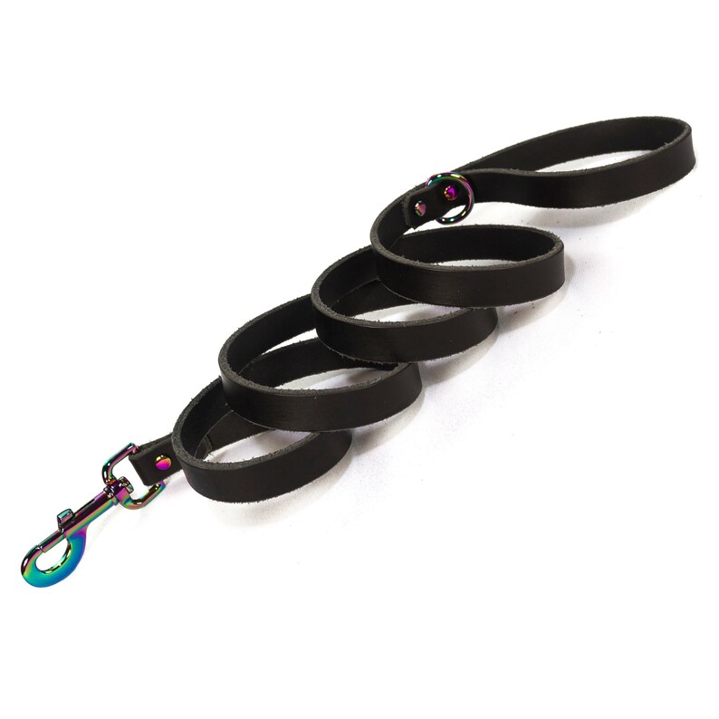 Op de afbeelding: Een zwarte leren hondenriem met een regenboogkleurige metalen clip. De riem is opgerold en klaar voor gebruik.