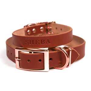 Personalized Brown Leather Dog Collar, Copper / Rose Gold Tone Buckle, Embossed Name