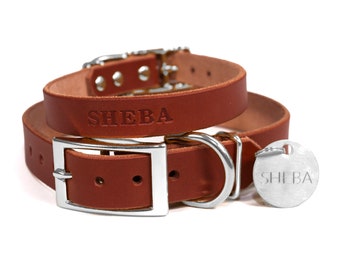 Personalized Brown Leather Dog Collar, Silver Tone Buckle, with Embossed Name and Stainless Steel Tag Dog Tag Hanging Tag