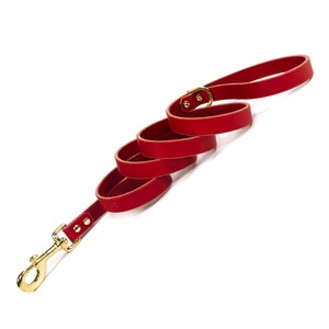 May include: A red leather dog leash with a gold metal clasp. The leash is coiled and ready to use.