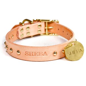 Collier de chien en cuir beige naturel clouté personnalisé, rivets de dôme de ton laiton / or, avec étiquette d'identification suspendue en laiton massif