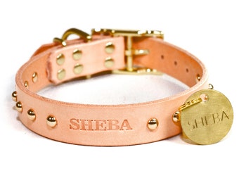 May include: A light pink leather dog collar with gold studs and a gold tag that says "SHEBA".