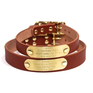 May include: Brown leather dog collar with two gold metal tags. The top tag reads "SHERA 1234 MAIN STREET ANYTOWN, USA 12345 123-456-7890". The bottom tag reads "SHEBA HAVE YOUR PEOPLE CALL MY PEOPLE 123-456-7890".