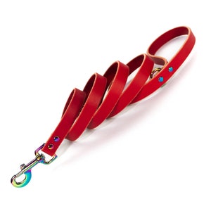 Handmade Red Leather Dog Leash, Rainbow Metal Hardware and D Ring