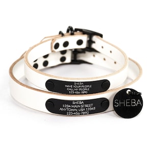 Personalized White Leather Dog Collar, Engraved Round Black Hanging Tag and Quiet ID Tag Nameplate