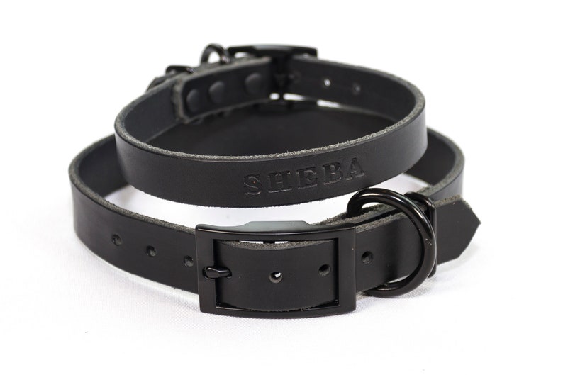 matte black dog collar