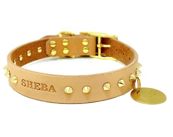 May include: Tan leather dog collar with gold studs and a gold tag that says "SHEBA".