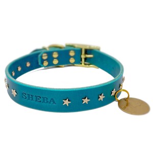 Personalized Star Studded Dark Teal Green Dog Collar, Brass / Gold Tone Star Rivets, with Solid Brass Hanging ID Tag Dog Tag