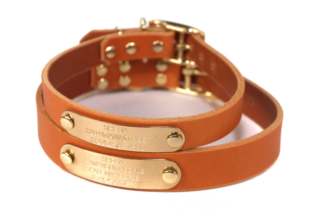 Personalized Orange Leather Dog Collar Brass / Gold Tone Etsy
