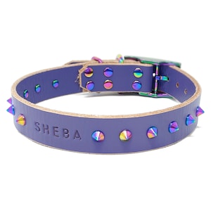 May include: Purple leather dog collar with iridescent metal studs and the name "SHEBA" embossed on the front.