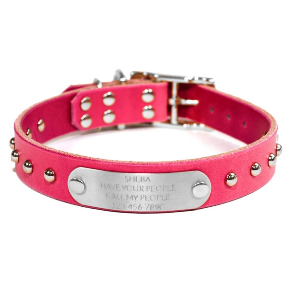 Pink Dog Collar Etsy