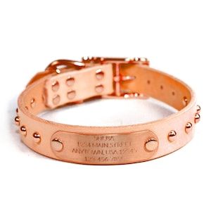 May include: A light brown leather dog collar with rose gold studs and a rose gold buckle. The collar has a rose gold engraved tag that reads "SHIBA 1234 MAIN STREET ANYTOWN, USA 12345 123-456-7897".