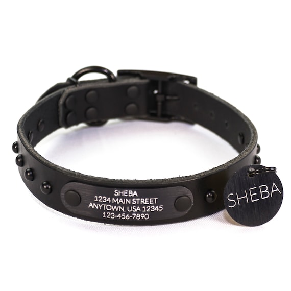 Matte black best sale dog id tag