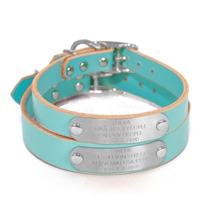 Personalized Light Blue Leather Dog Collar, with Silver Tone Stainless Steel Nameplate ID Tag, up to 4 Lines of Text