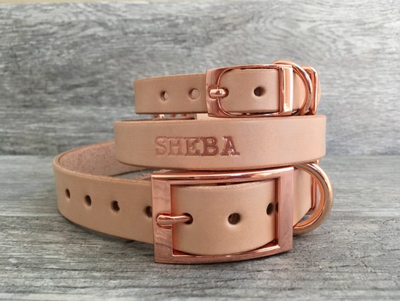 embossed leather dog collar
