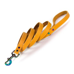 Handmade Mustard Yellow Leather Dog Leash, Rainbow Metal Hardware and D Ring